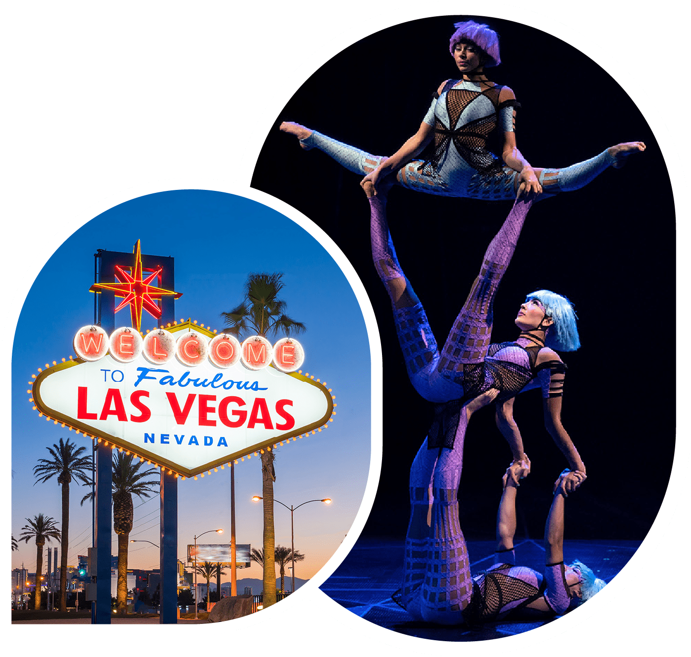 Las Vegas NV October 2024 Western CPE   Las Vegas Image Conference Overview 