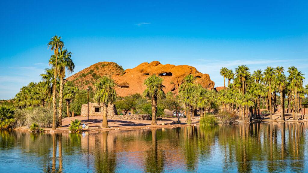 Tempe AZ | Desert | Palm Trees | Western CPE | CPE Conferences