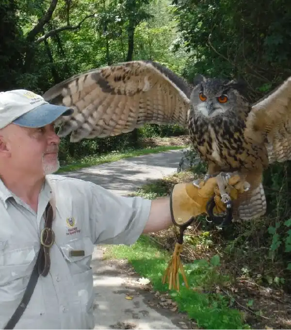 A man holds an owl at The Greenbrier falconry class