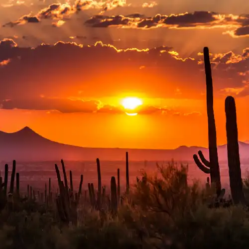 Arizona desert sunset
