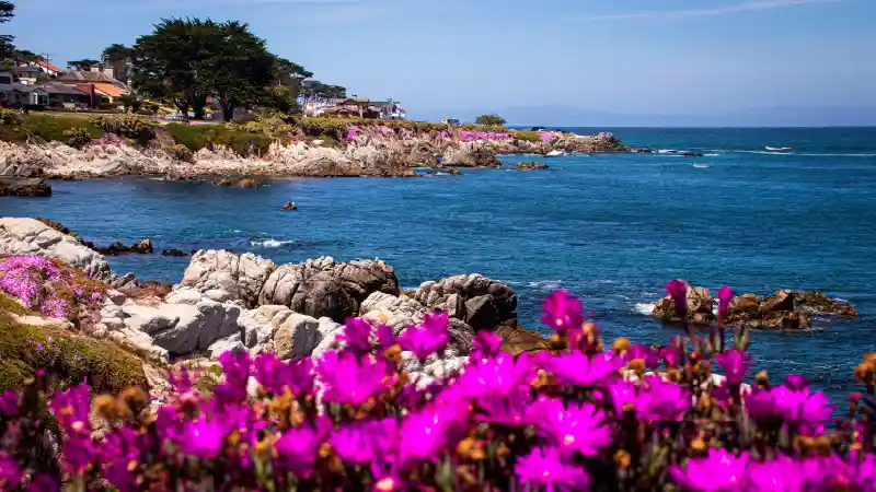 Garden Grove Beach and Flowers