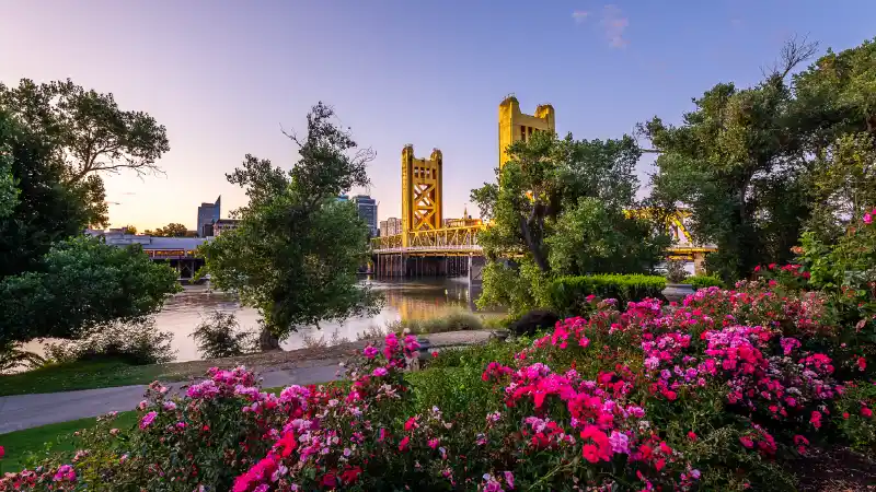 Sacramento Bridge and Flowers Mobile